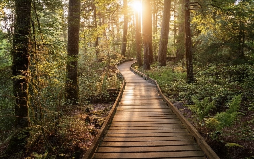 Why The Long Way Is Actually The Shortcut